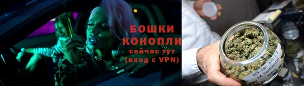 круглые Белокуриха