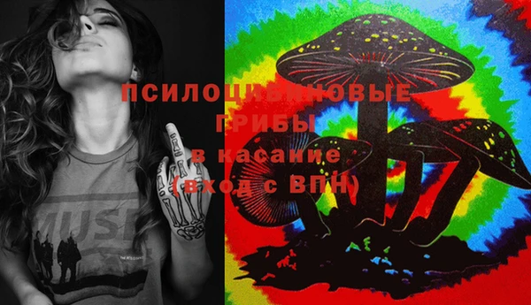 круглые Белокуриха