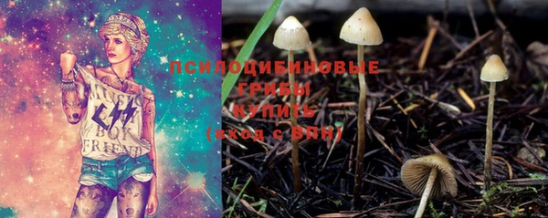 круглые Белокуриха