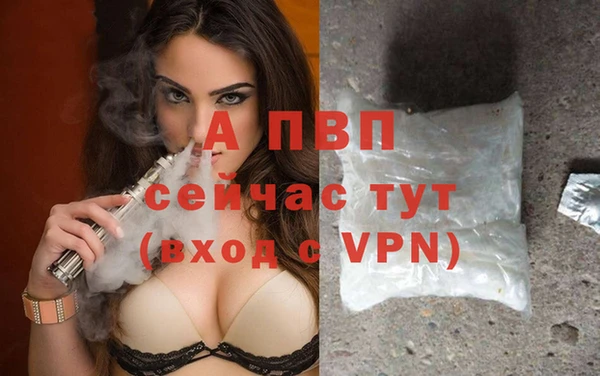 круглые Белокуриха